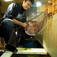 いつでも天然活魚がお愉しみいただけるように店内には、約2トンの巨大生簀を完備しております。魚は漁師と直接取引をして素材の鮮度と安全にこだわります。漁師直送の天然活魚、そして市場直送の鮮魚の数々を目利き、厳選し丁寧に調理いたします。