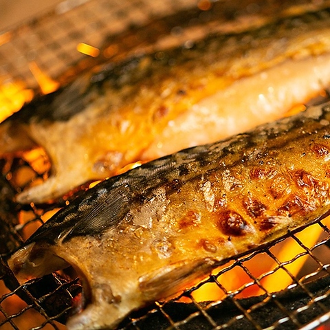 湘南辻堂の本格炉端焼き「かげん」。こだわり仕入れの鮮魚と炭火焼が堪能できるお店♪