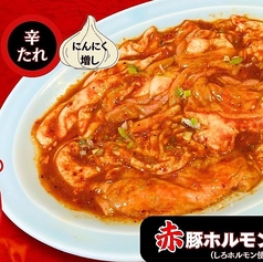 赤豚ホルモン(しろホルモン使用)