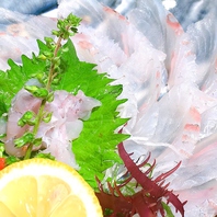 漁港直送の鮮魚！新鮮魚介を使ったメニューが充実！！