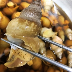 梅貝の旨煮