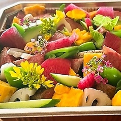 gurumi ぐるみの特集写真