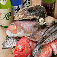 漁場直送の新鮮魚＆取り扱い希少！旨味濃厚な熟成魚