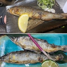 串かつ いど家 いどやんのおすすめ料理2