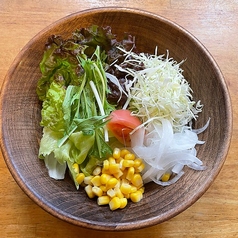 野菜サラダ（ごまドレ・和風ドレ）