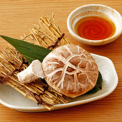 生どんこしいたけ 出汁醤油焼き【1個】