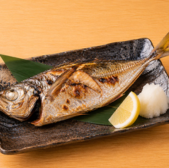 鯵