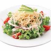 健康＆美容意識◎新鮮野菜でヘルシーなサラダはいかが？