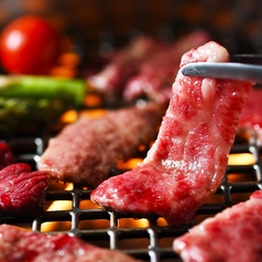 SAPPORO YAKINIKU 肉たくのおすすめポイント1
