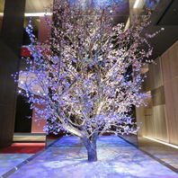 幻想的な非日常空間でおもてなし