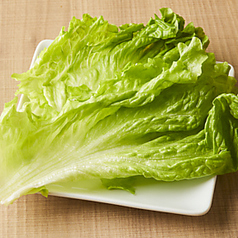 巻き野菜サンチュ