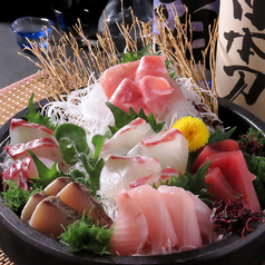 ●SASHIMI〈自慢の刺身〉