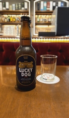 ラッキードッグ