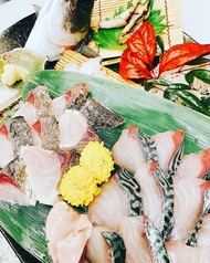 活け坊関一匹 (造 or 焼 or 煮)