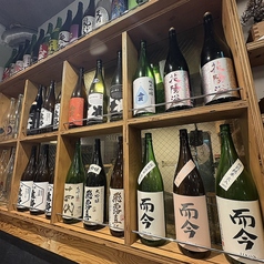 魚 ioのコース写真
