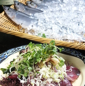 旬のお魚をご用意しております。