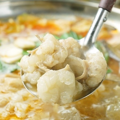 八戸ノ里応援団 勝男の特集写真