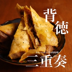 肉みそカレーチーズ春巻き