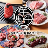 焼肉 みつどもえ豊田市駅店の詳細