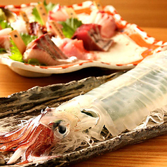 日本橋イカセンターのコース写真