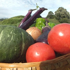 【農園】自家農園直送の新鮮お野菜