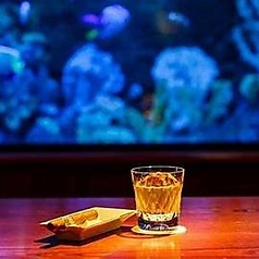 Shot Bar Aquarium ショットバー アクアリュームの写真