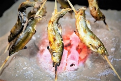 新潟地酒炉端焼き　湯沢食堂だるまのメイン写真