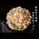 鉄板焼き酒場駄菓子屋じゅんの画像