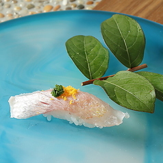 サカナテラス-OMAKASE- 西舞鶴本店のコース写真