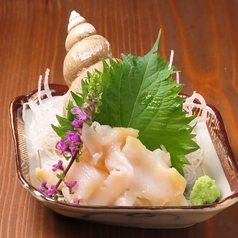 バイ貝のお刺身