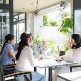 Cafe Ano Basho カフェアノバショの雰囲気3