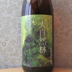 （芋）屋久の島　大自然林