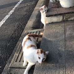 居酒屋 呑み処 なりの外観3