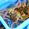 越前がに・海鮮料理専門店　みくに隠居処のおすすめポイント1