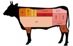 牛さんの、様々な部位のお肉を頂いています。定番肉から希少部位まで、様々ご用意しています。