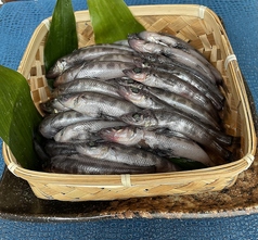 小いわし刺