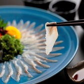 浜名湖うなぎの刺身