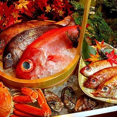 その壱、"毎日直送の朝〆鮮魚"