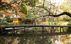 浮月楼 レストランの雰囲気1