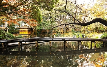 浮月楼 レストランの雰囲気1