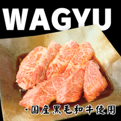 沖縄県産黒毛和牛焼きしゃぶ