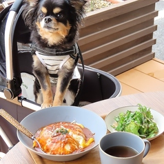 鉄板焼 ビストロ よしむらのおすすめポイント1