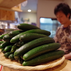 魚・肉・野菜…数多くの料理に舌鼓♪