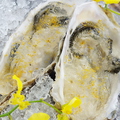 料理メニュー写真 厚岸産生牡蠣　