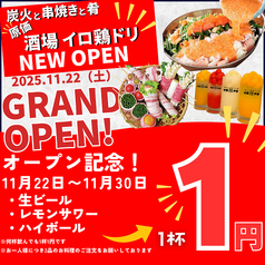 イロ鶏ドリのコース写真