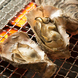 新橋で本場広島の様な牡蠣の網焼きを楽しめる♪