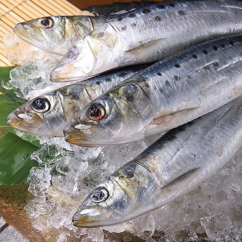 おさ和風 おさわがせ
