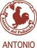 Antonio del Pollaioloのロゴ