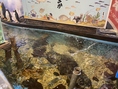 市内最大級の店内いけすから取る新鮮なお魚をご提供！！！