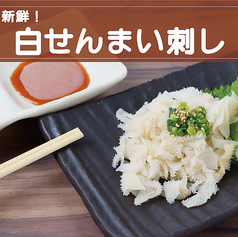 白せんまい刺し